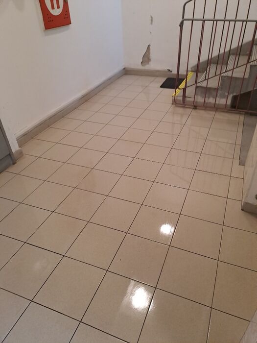 Fotografie z realizovaného úklidu 53